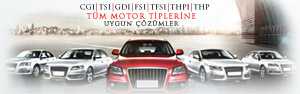 Altnok Otogaz